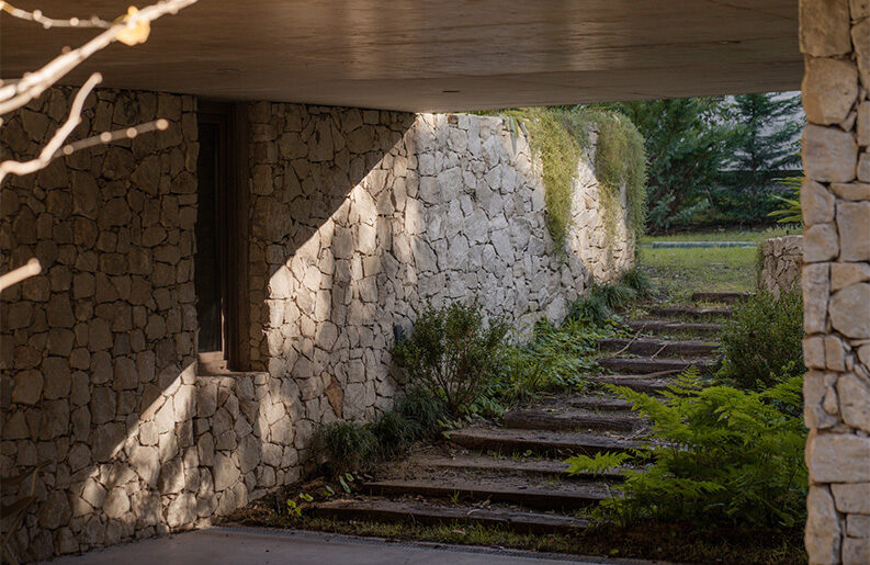 Treinta y Nueve Árboles by Grizzo Studio