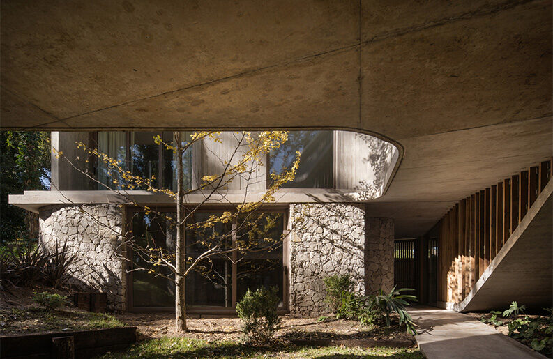 Treinta y Nueve Árboles by Grizzo Studio