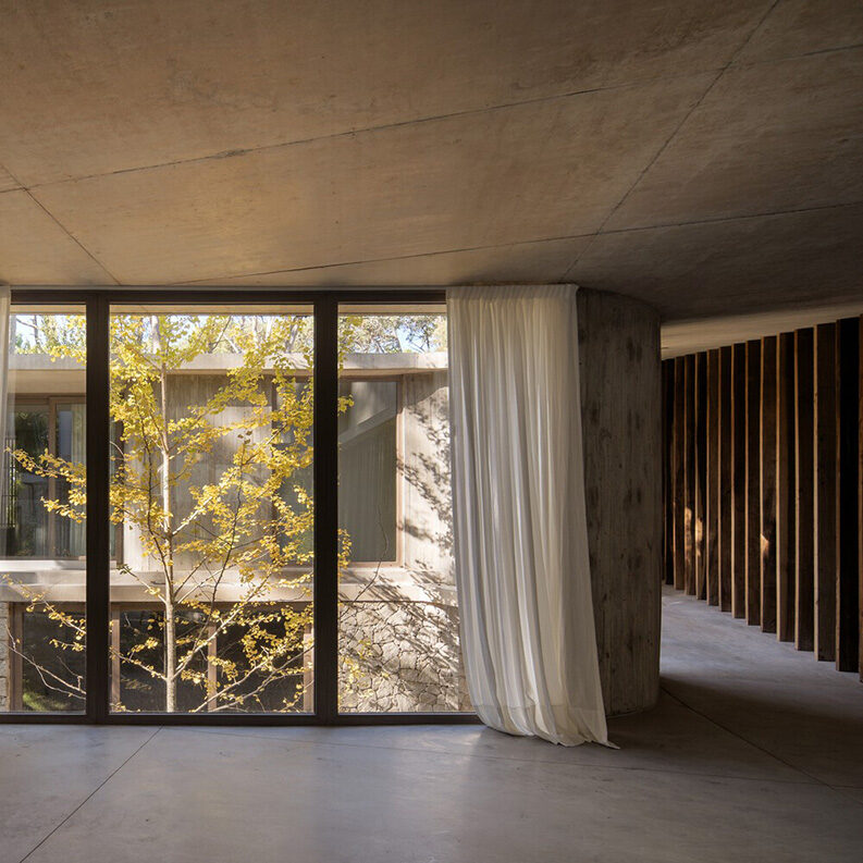 Treinta y Nueve Árboles by Grizzo Studio