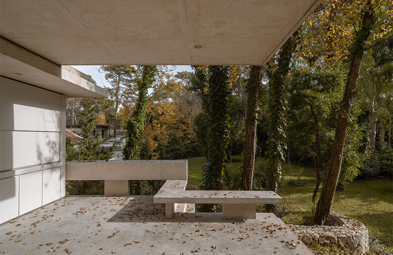 Treinta y Nueve Árboles by Grizzo Studio