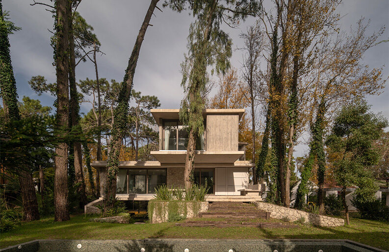 Treinta y Nueve Árboles by Grizzo Studio