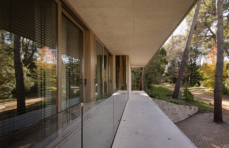 Treinta y Nueve Árboles by Grizzo Studio