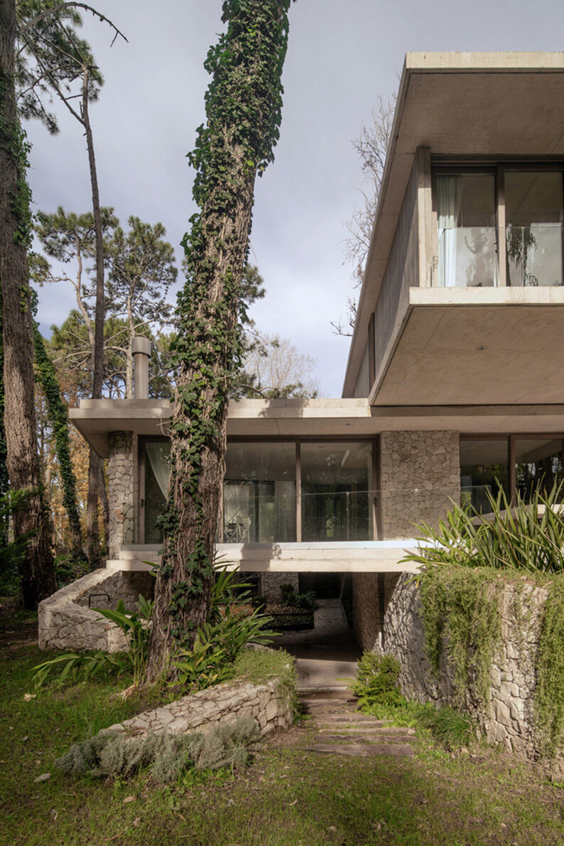 Treinta y Nueve Árboles by Grizzo Studio