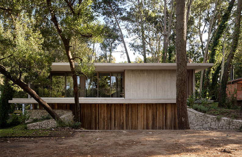 Treinta y Nueve Árboles by Grizzo Studio