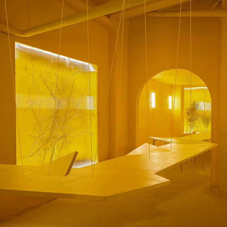 Un Campo Amarillo, Marta Jarabo, Aurea Rodriguez