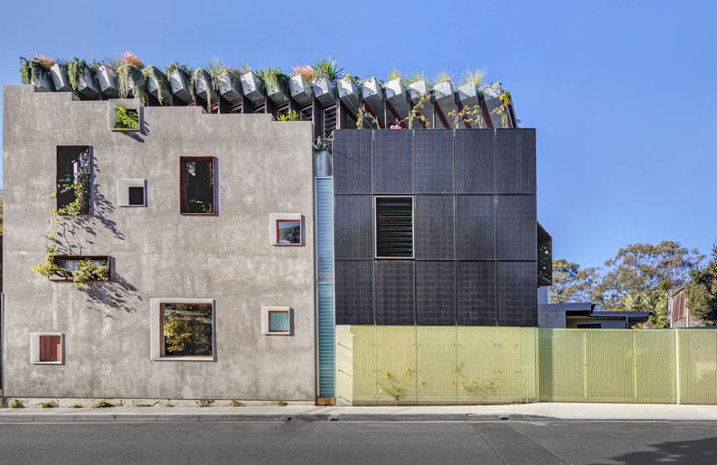Casa Welcolme To The Jungle