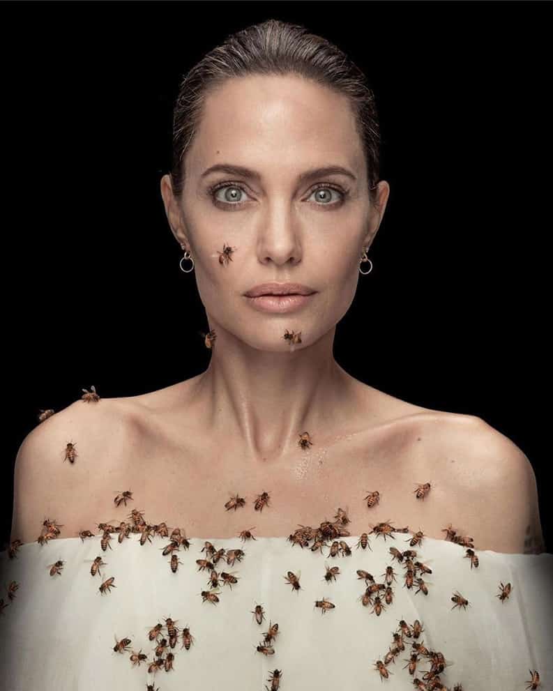 Angelina Jolie abejas