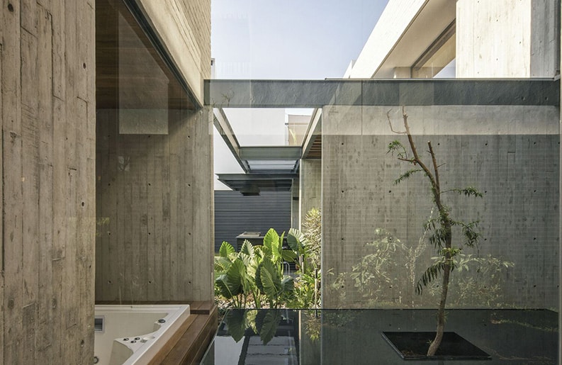 Casa CX3, LM Arkylab, Yoshihiro Koitani