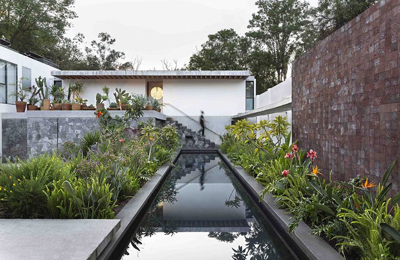 Casa Colibrí by Estudio Libre MX