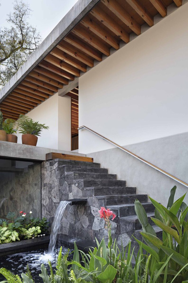 Casa Colibrí by Estudio Libre MX