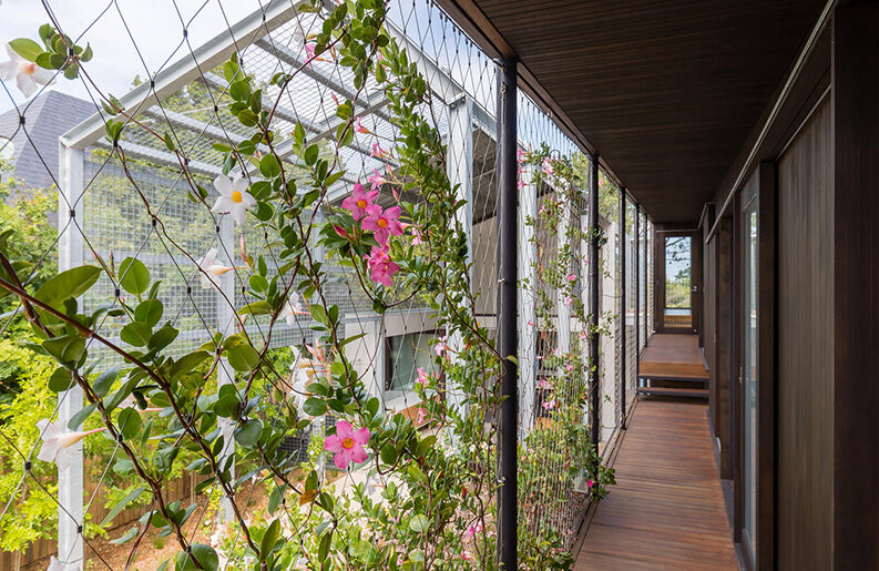 Casa Doncella de Hierro by CplusC Architects + Builders