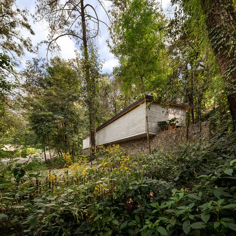 Casa El Pinar, Rafael Gamo, CF Taller de Arquitectura + Merodio Arquitectos