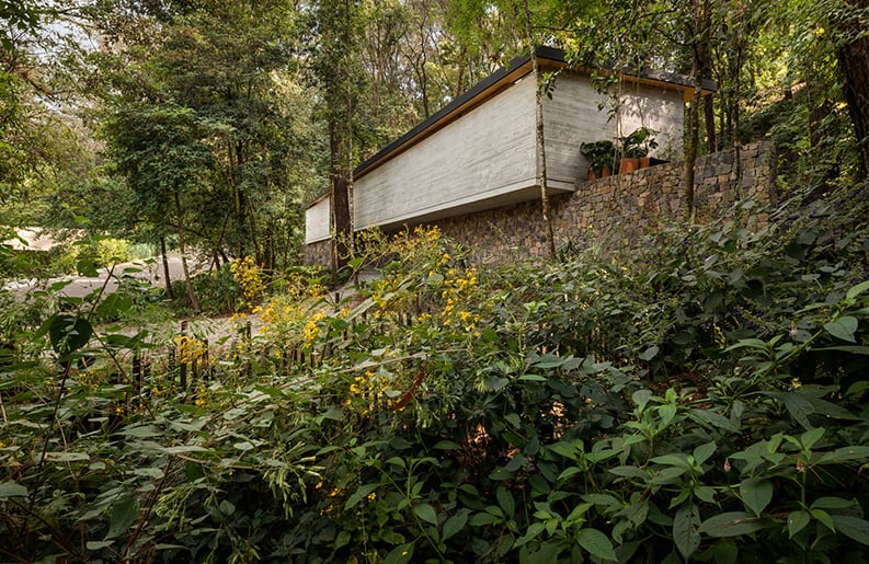 Casa El Pinar, Rafael Gamo, CF Taller de Arquitectura + Merodio Arquitectos