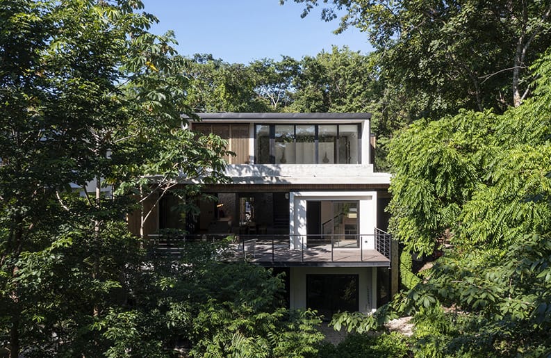 Casa Jungla, FAMM Arquitectura, Andrés García Lachner