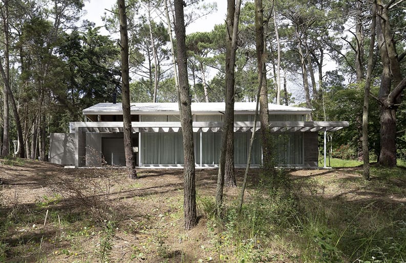 Casa Pingüino, Estudio Galera, Javier Agustín Rojas