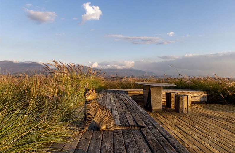 Casa Rancho, Landscape jardins, André Nazareth