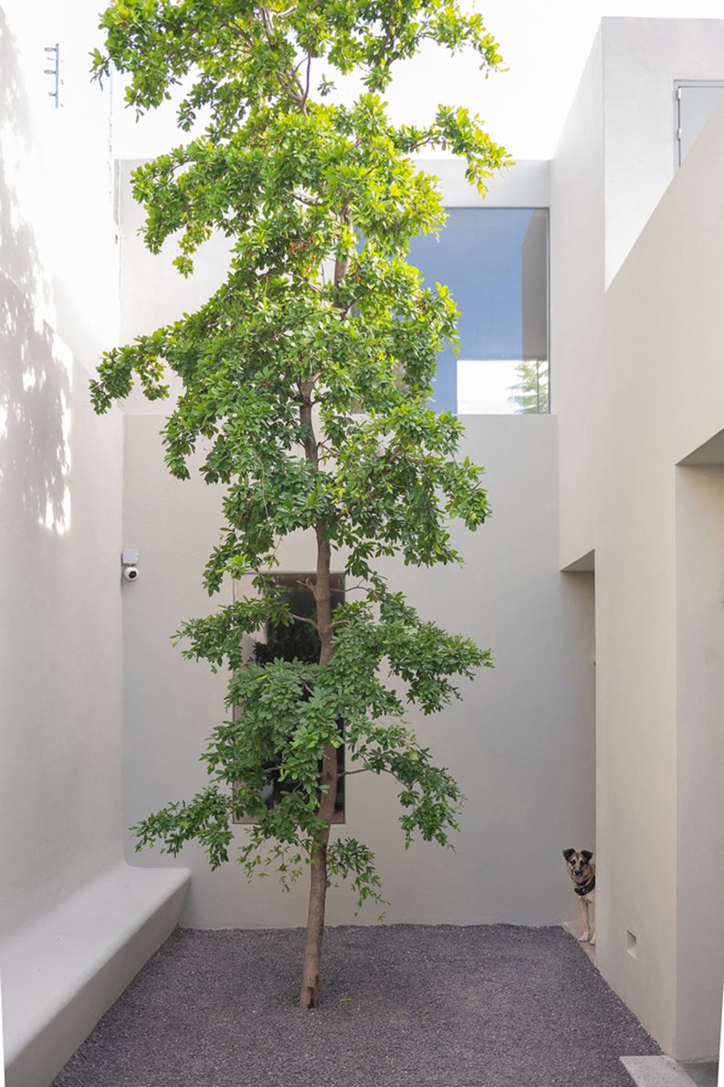 Casa Remedios by Landa Studio