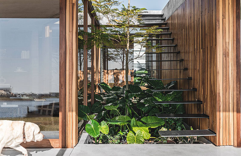 Casa de Las Aves by Estudio Simbiosis