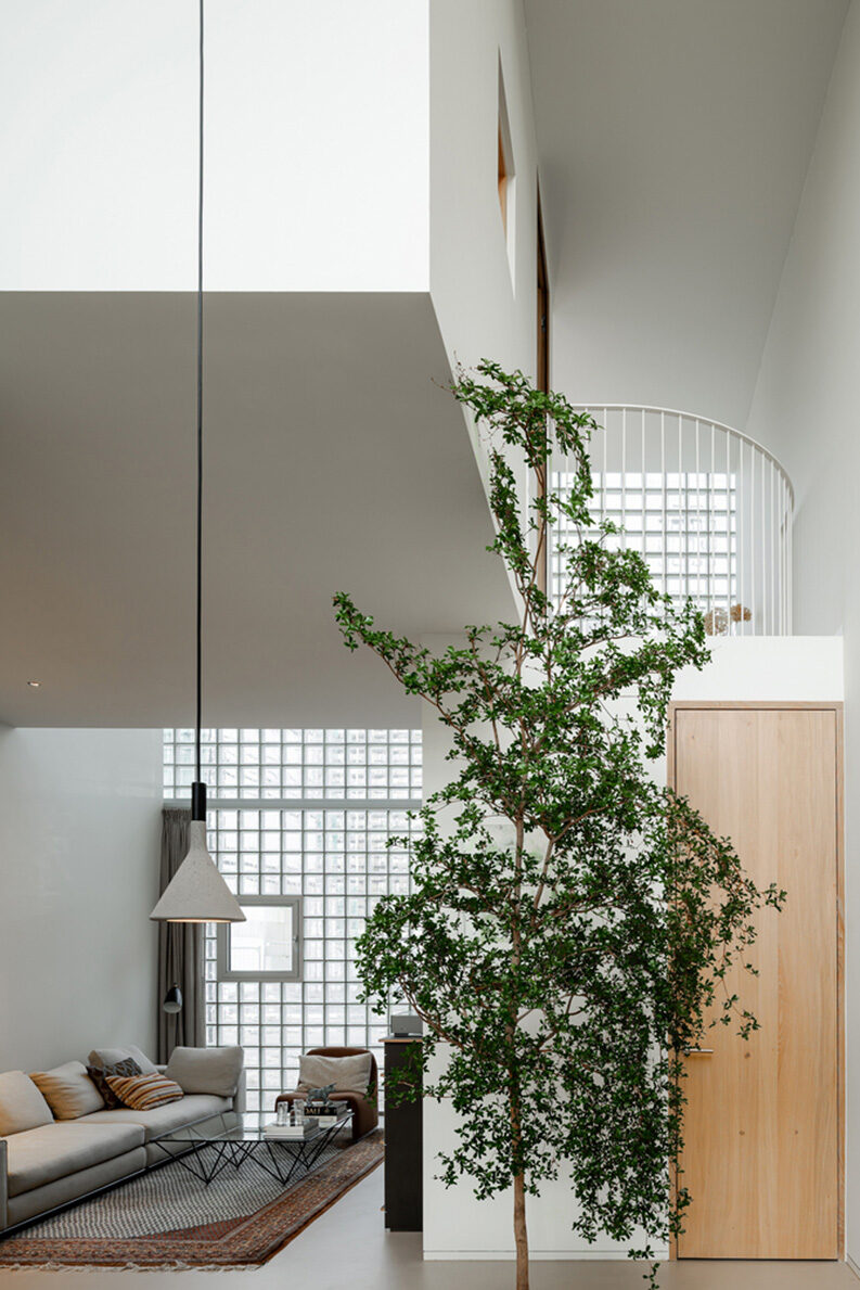 Casa de Luz by Studioninedots