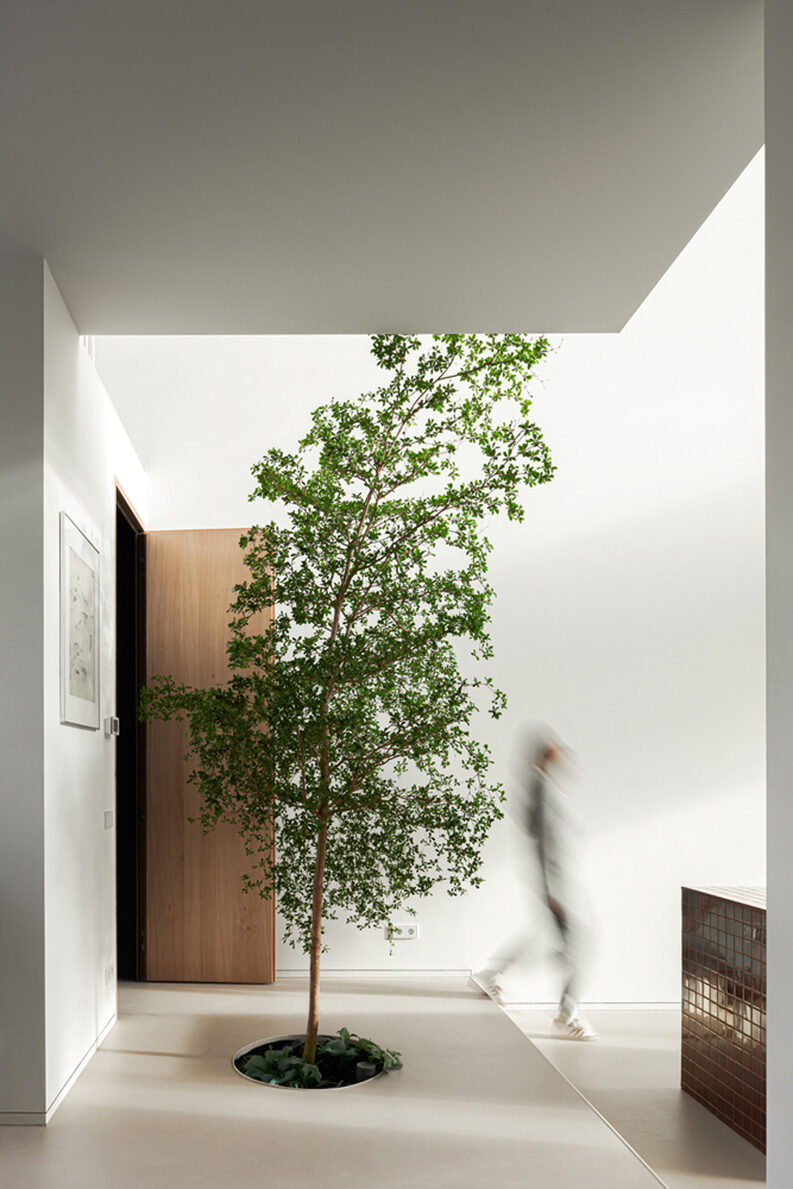 Casa de Luz by Studioninedots