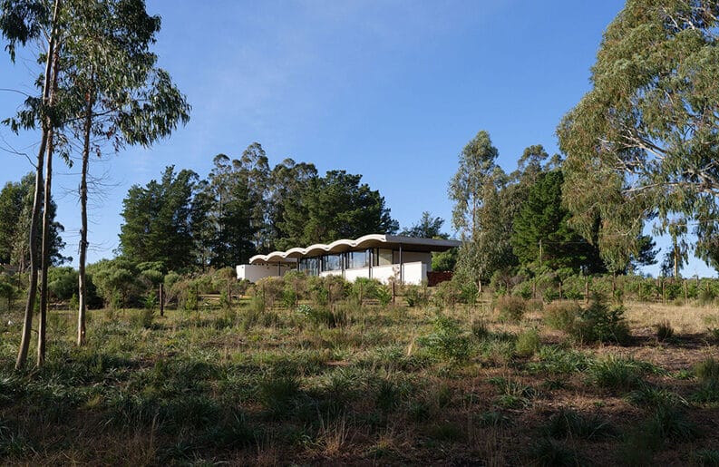 Casa del Mordisco by BIOMA