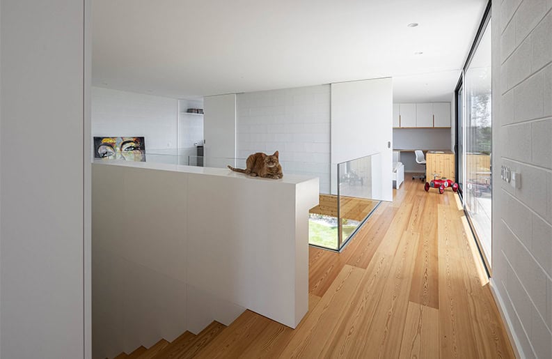 Casa del Sobreiro. Una propiedad que se ubica al lado de un árbol histórico