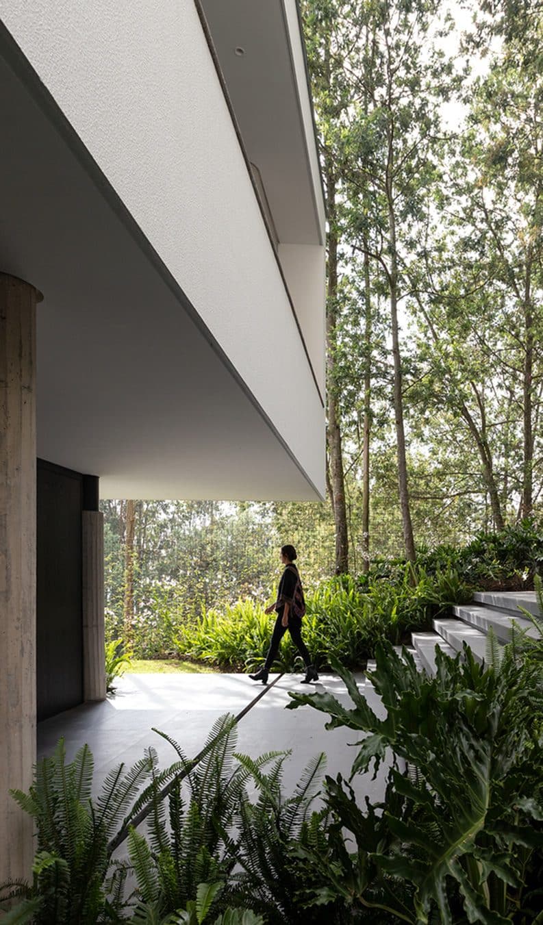 Casa en el Bosque by Gabriel Rivera Arquitectos