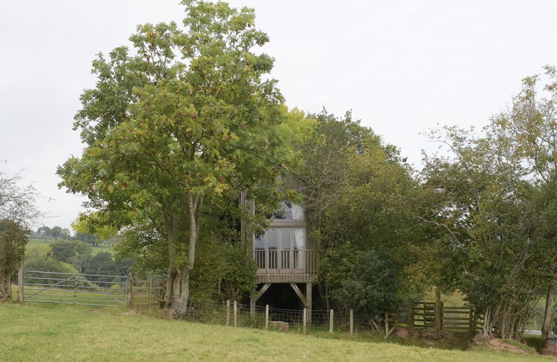 Casa entre árboles