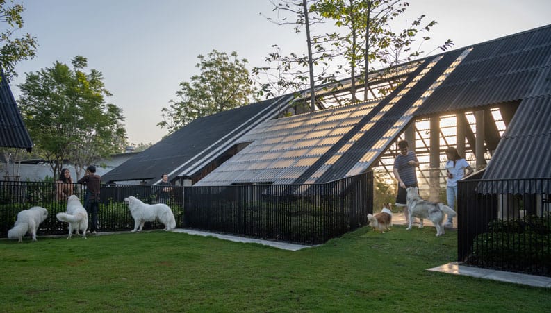 Casa para humanos y perros