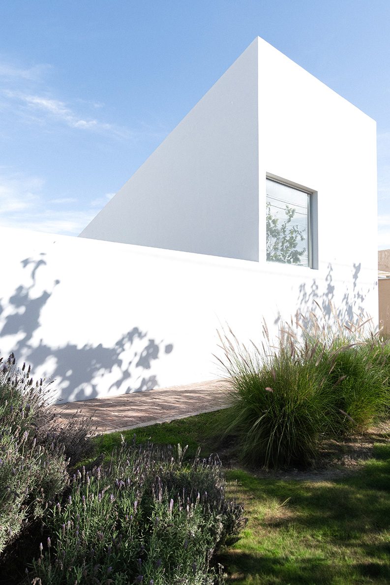 Casa para un Árbol by esteras perote