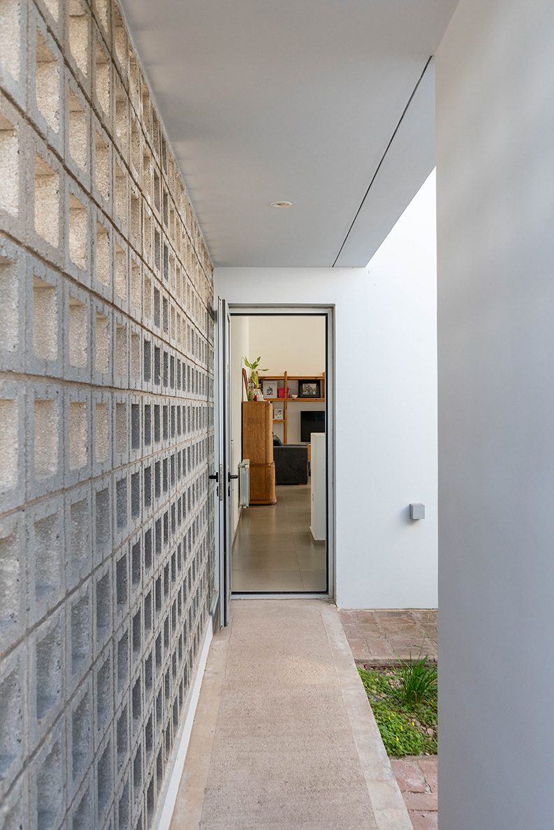 Casa para un Árbol by esteras perote