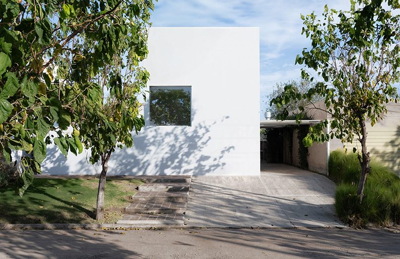 Casa para un Árbol by esteras perote