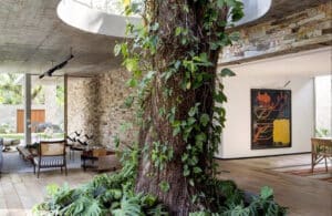 Casas donde los árboles son parte del diseño