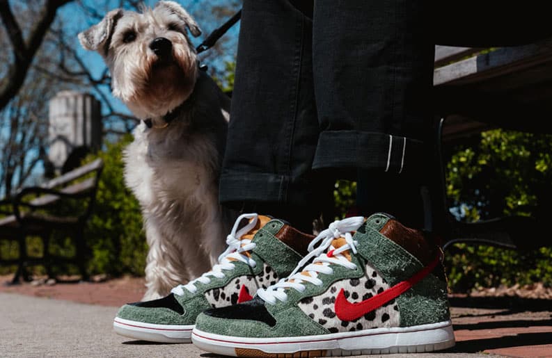 Dunk High SBWalk The Dog