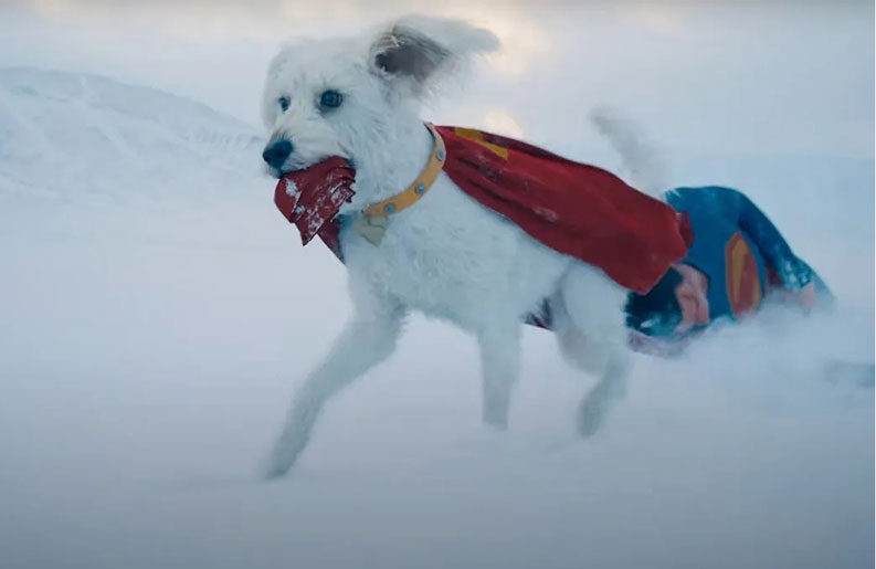 El fenómeno Krypto
