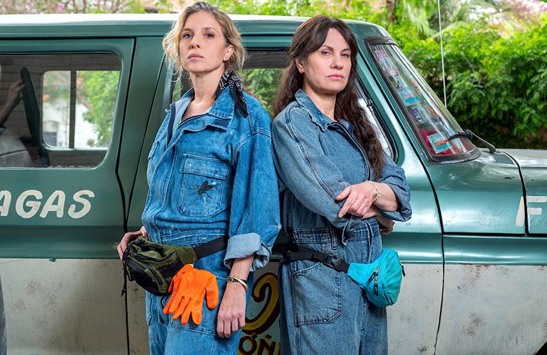 El tiempo de las moscas