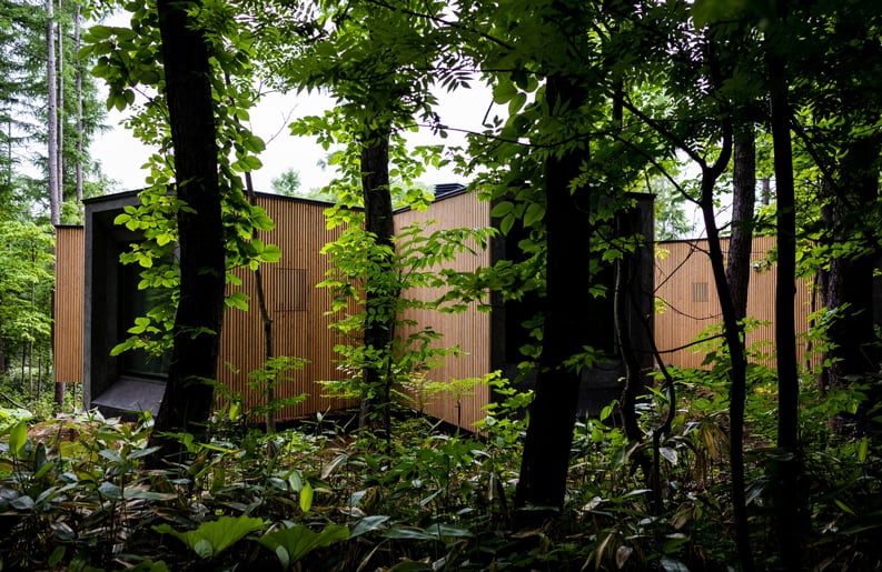 Casa en el bosque
