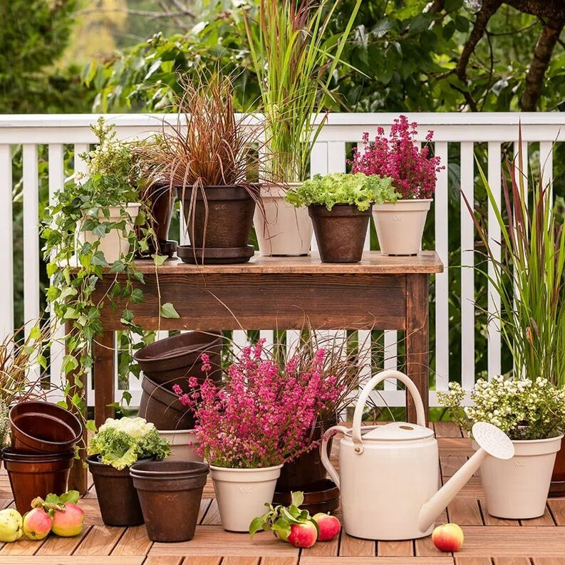 Jardinería de otoño