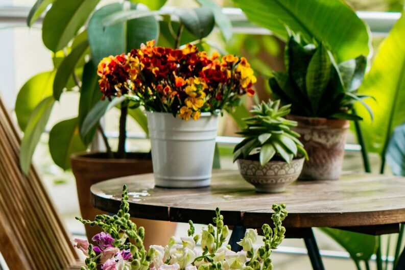 Jardinería de otoño