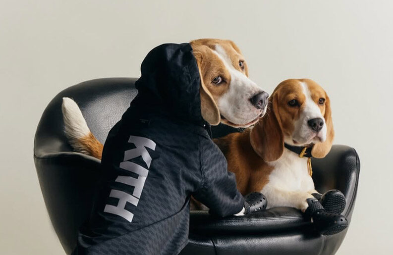 Kith lanza su primera colección para perros