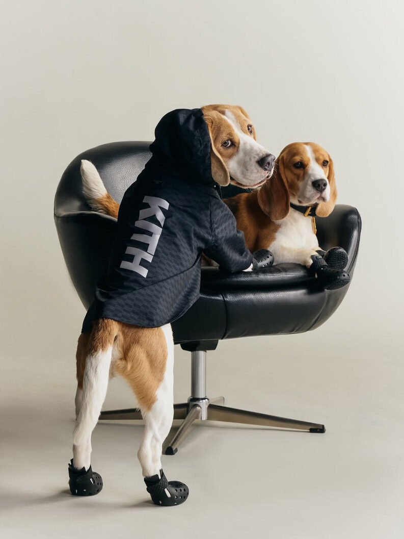 Kith lanza su primera colección para perros