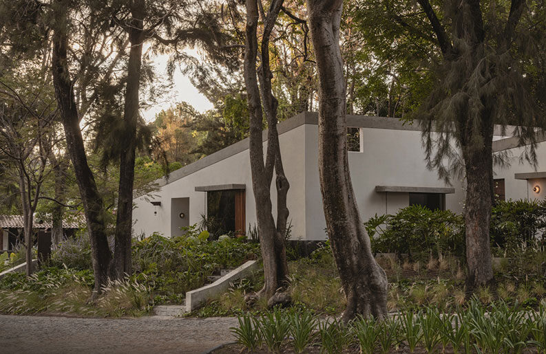 Malvas 59 by Estudio Radillo Alba