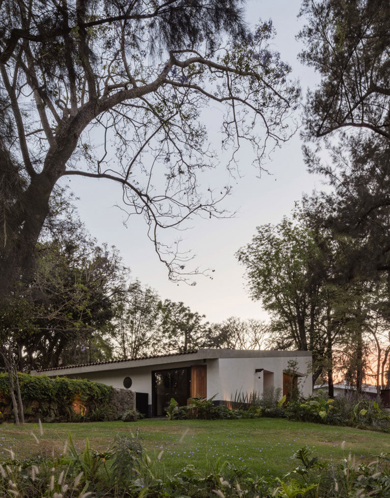 Malvas 59 by Estudio Radillo Alba