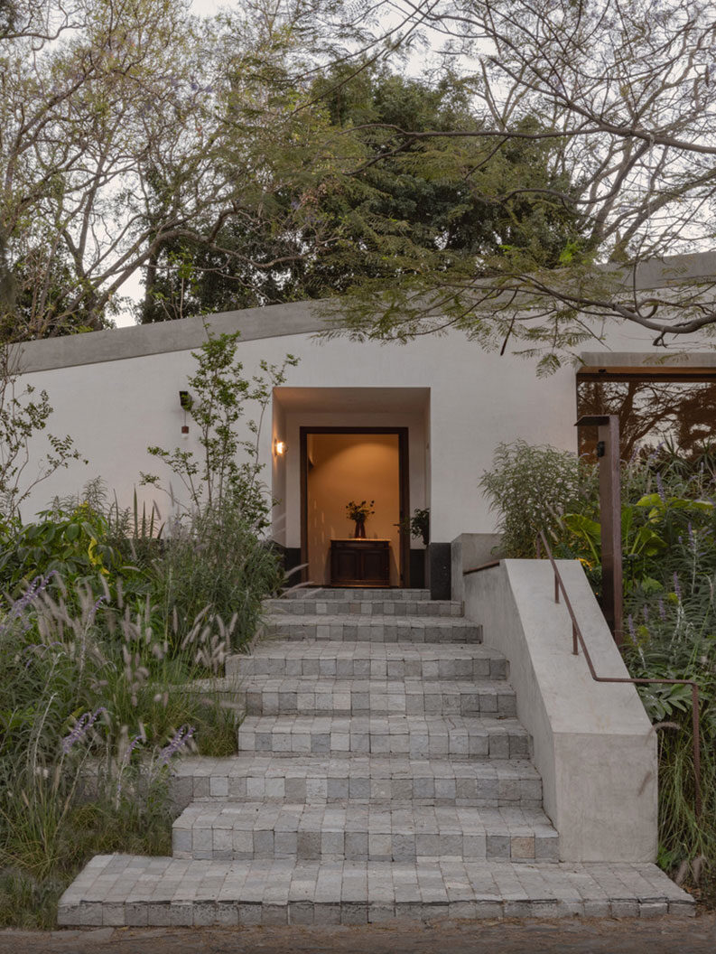 Malvas 59 by Estudio Radillo Alba