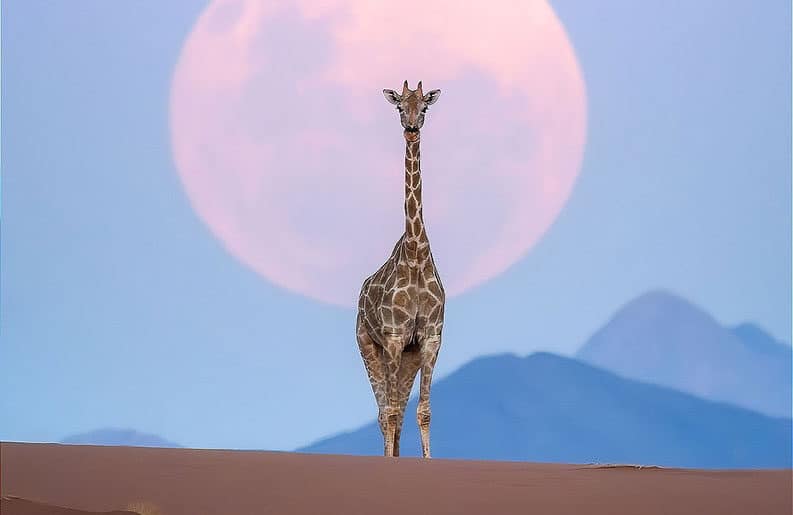 Namibia, un paraíso natural
