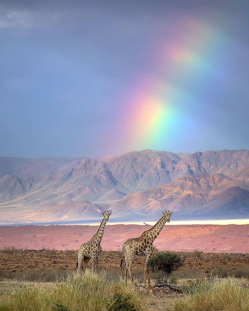 Namibia, un paraíso natural