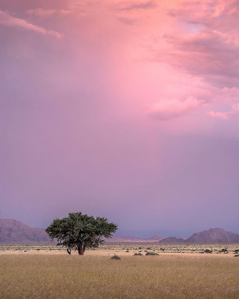 Namibia, un paraíso natural
