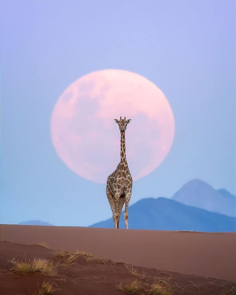 Namibia, un paraíso natural