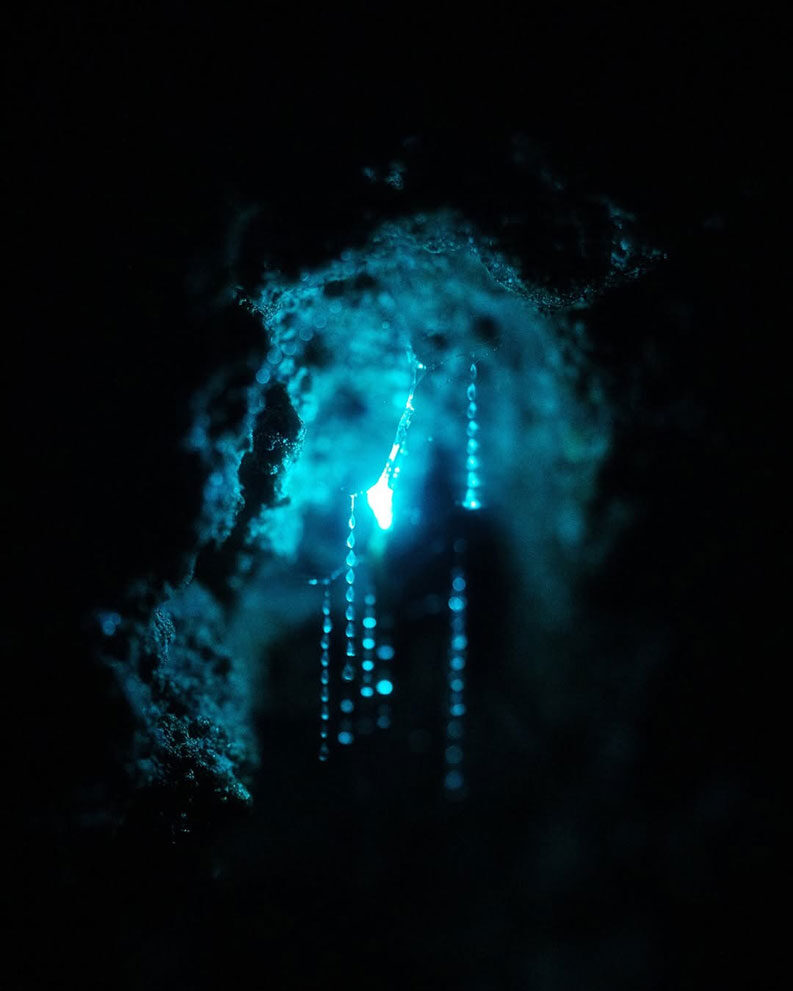 Cielo estrellado bajo tierra en Nueva Zelanda
