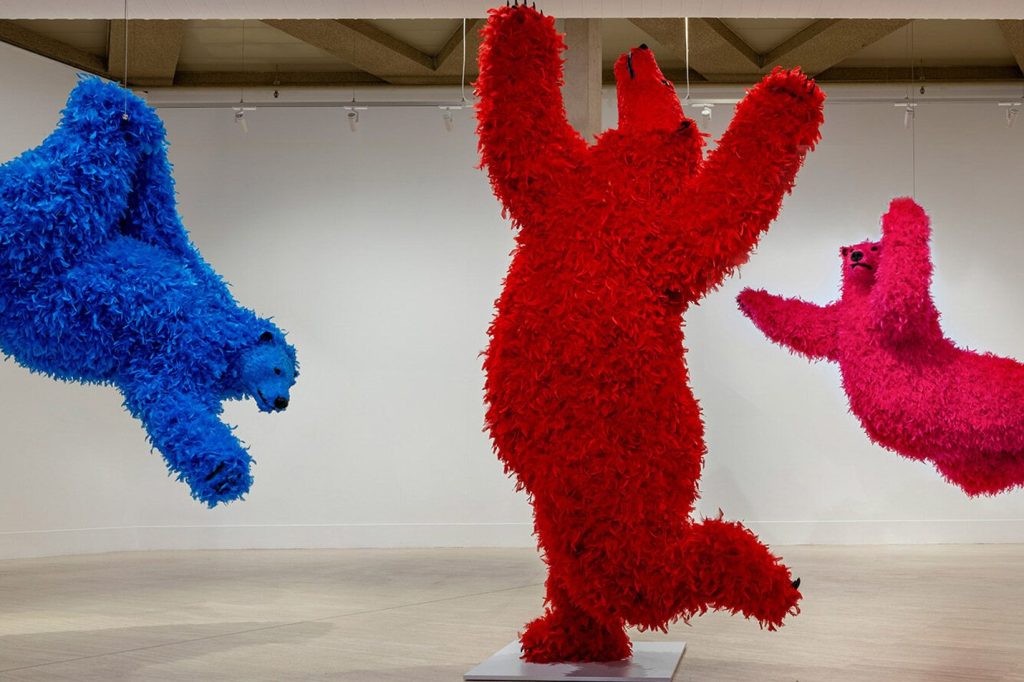 Paola Pivi. Libertad, color y desconcierto